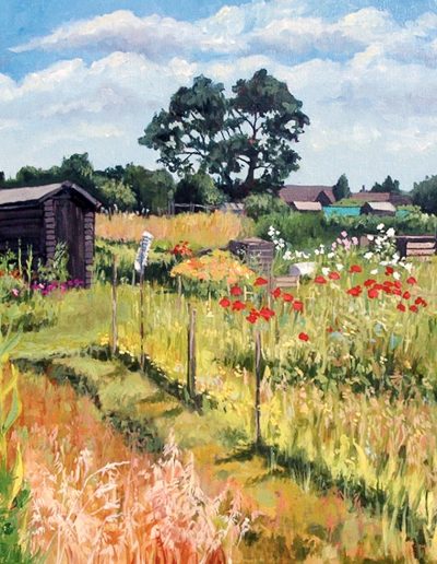 Oil on canvasr painting of an allotment, in Wing, with bright red poppies and sheds in the background.