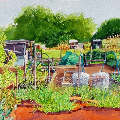 Allotment with Dustbins
