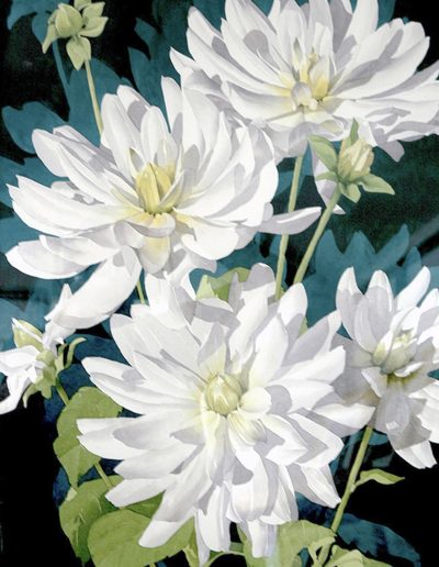 A close up watercolour painting of white dahlia.