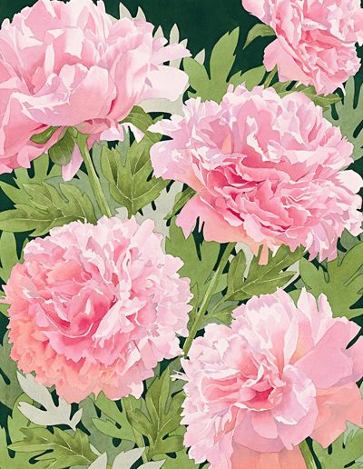A close up watercolour painting of pink peony and lush green leaves.