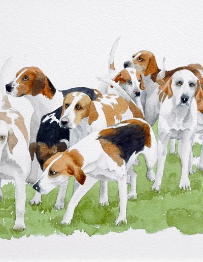 A watercolour painting of a pack of foxhounds on grass.