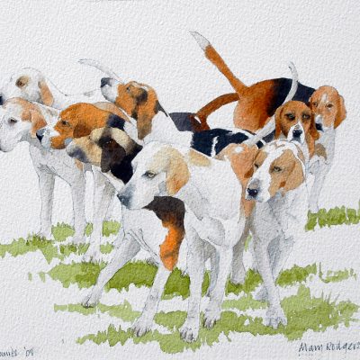 Hounds – Fernie Hunt – Leicestershire